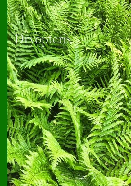 Produktbild: Plant Spirits / Dryopteris
