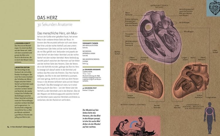 Produktbild: Anatomie in 30 Sekunden