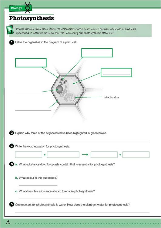 Produktbild: KS3 Year 9 Science Targeted Practice Workbook with answers.