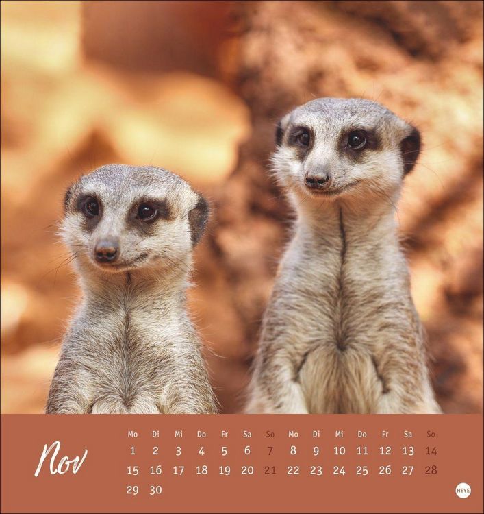 Produktbild: Erdm&auml;nnchen Postkartenkalender 2027