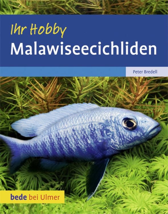 Produktbild: Malawiseecichliden