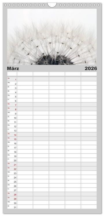 Produktbild: Familienplaner 2026 - Filigrane Pusteblumen / Geburtstagskalender mit 5 Spalten (Wandkalender, 21 x 45 cm) CALVENDO