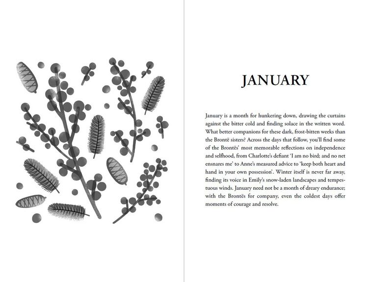 Produktbild: The Bront&euml;s for Every Day of the Year