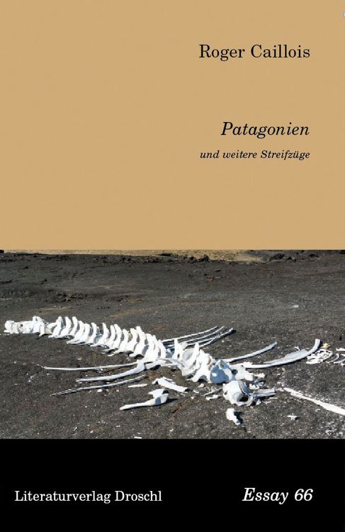 Produktbild: Patagonien und weitere Streifz&uuml;ge