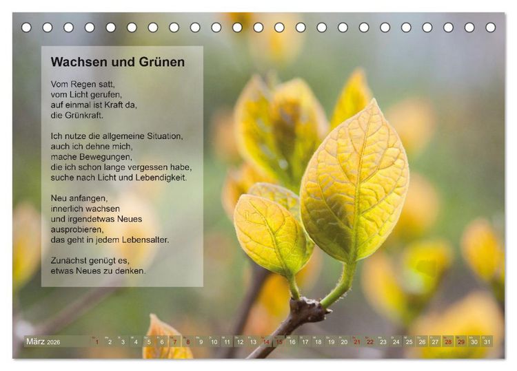 Produktbild: Im Rhythmus der Jahreszeiten und des Kirchenjahres (Tischkalender 2026 DIN A5 quer), CALVENDO Monatskalender