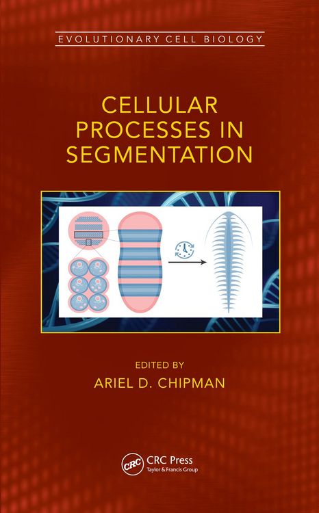 Produktbild: Cellular Processes in Segmentation
