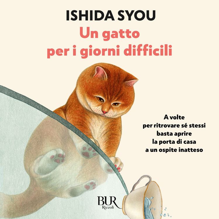 Produktbild: Un gatto per i giorni difficili