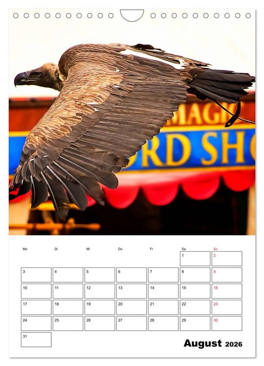 Produktbild: Raub- und Greifv&ouml;gel im Flug (Wandkalender 2026 DIN A4 hoch), CALVENDO Monatskalender