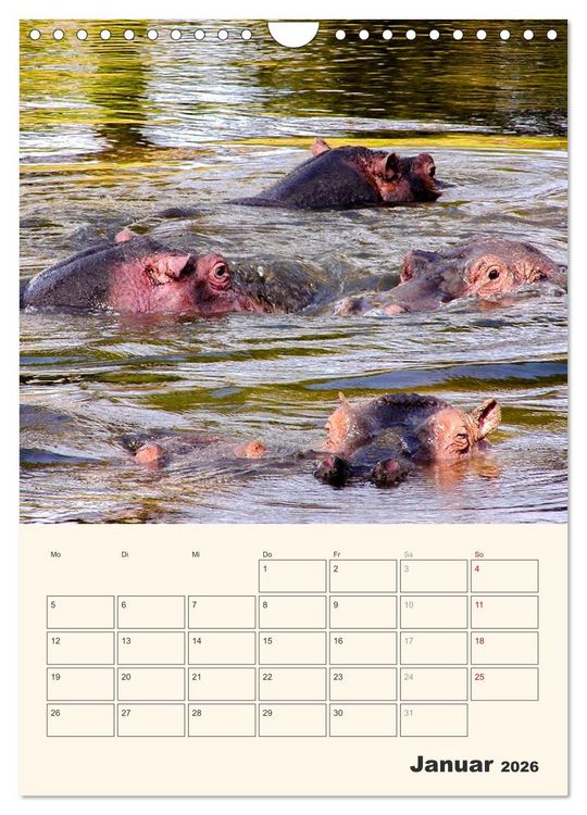 Produktbild: Kenia - Terminplaner (Wandkalender 2026 DIN A4 hoch), CALVENDO Monatskalender