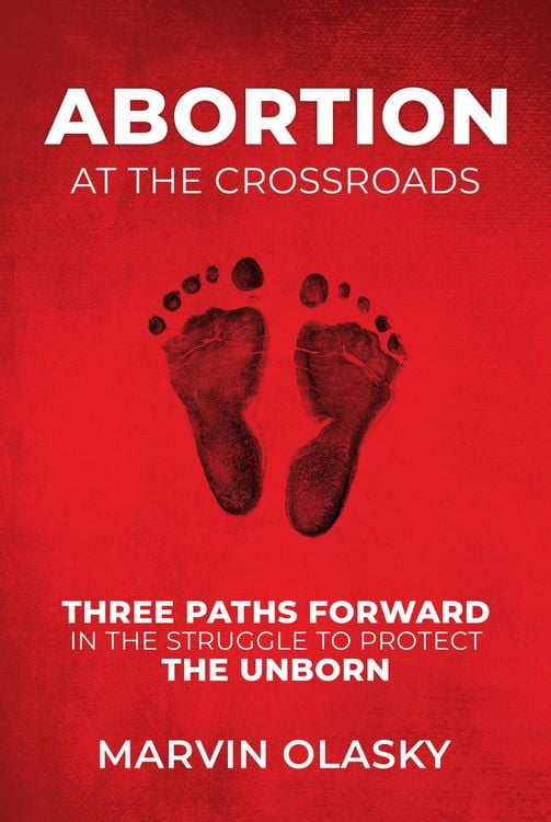 Produktbild: Abortion at the Crossroads: Three Paths Forward in the Struggle to Protect the Unborn