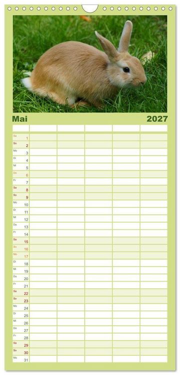 Produktbild: Familienplaner 2027 - Liebenswerte Zwergkaninchen mit 5 Spalten (Wandkalender, 21 x 45 cm) CALVENDO