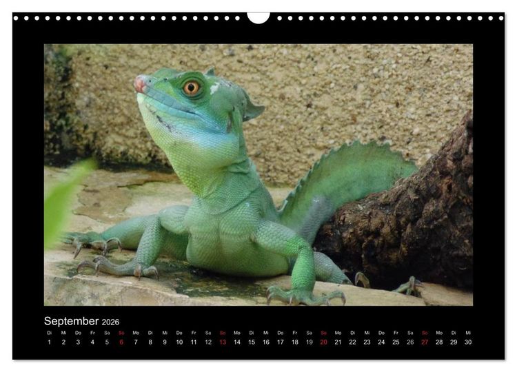 Produktbild: Faszinierende Reptilien (Wandkalender 2026 DIN A3 quer), CALVENDO Monatskalender