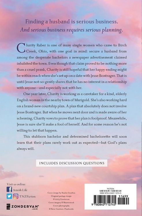 Produktbild: The Courtship Plan