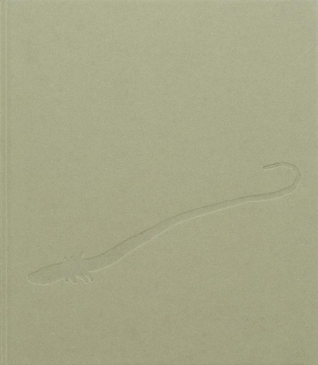 Produktbild: Chiara Camoni. Serpentesse