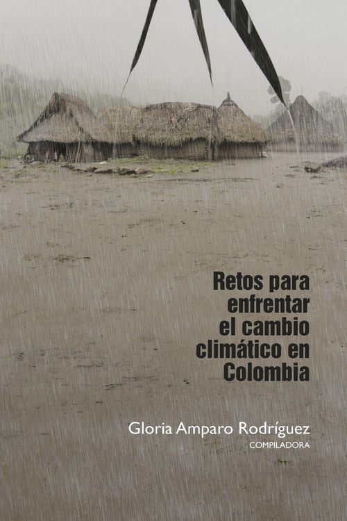 Produktbild: Retos para enfrentar el cambio clim&aacute;tico en Colombia