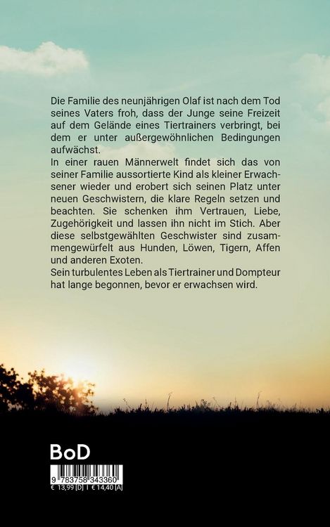 Produktbild: Seelengeschwister