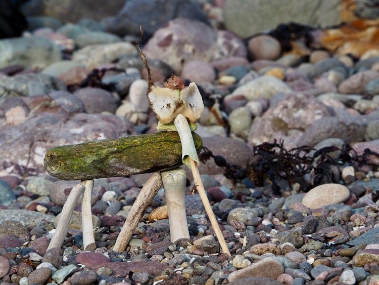 Produktbild: Stranding