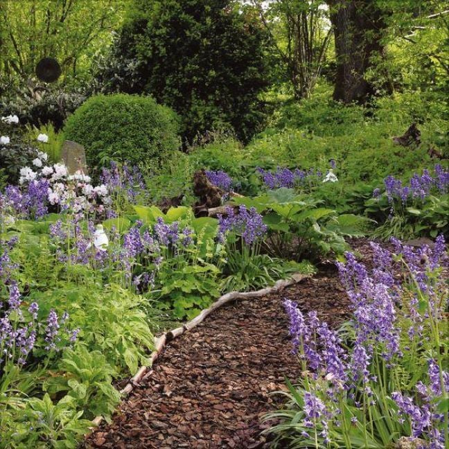 Produktbild: Gartentr&auml;ume 2027