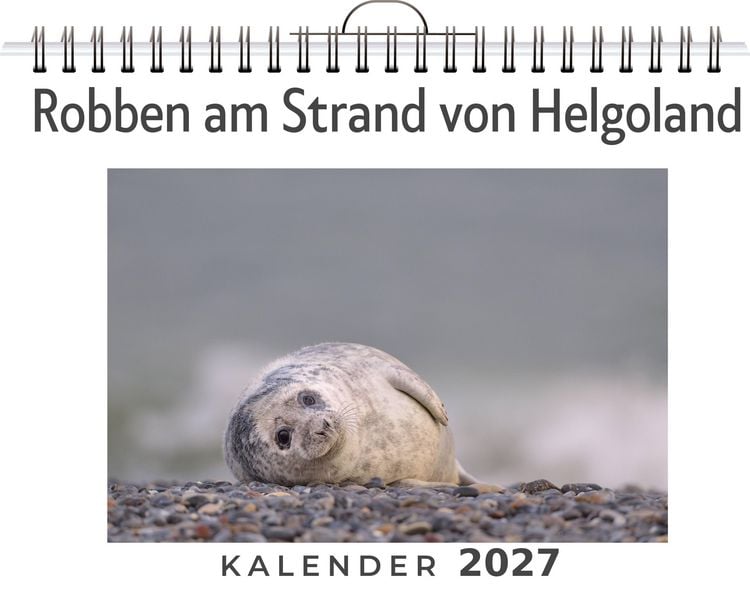 Produktbild: Robben am Strand von Helgoland