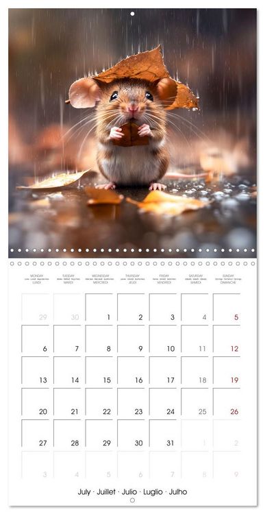 Produktbild: MOUSE MAGIC - Joyful Moments from the World of Mice (Wall Calendar 2026 12 &times; 12 Inch) CALVENDO 12 Month Wall Calendar
