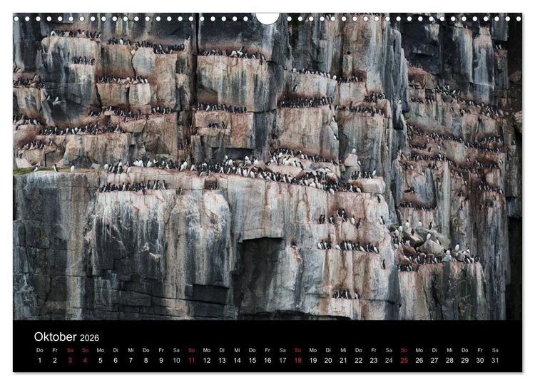 Produktbild: TRAUMZIEL ARKTIS, Impressionen vom Rand der Welt (Wandkalender 2026 DIN A3 quer), CALVENDO Monatskalender