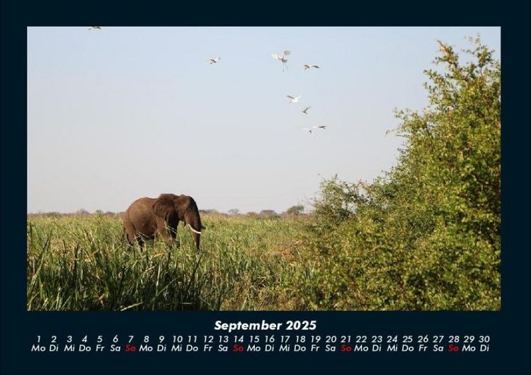 Produktbild: Bilder der Natur 2025 Fotokalender DIN A4