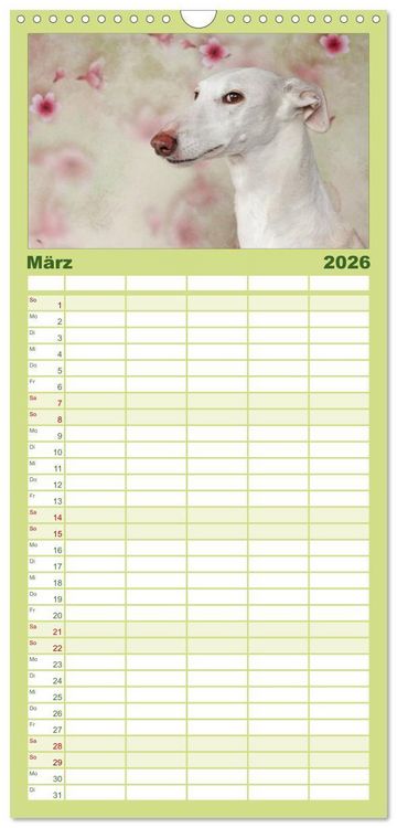 Produktbild: Familienplaner 2026 - Der Windhundekalender mit 5 Spalten (Wandkalender, 21 x 45 cm) CALVENDO
