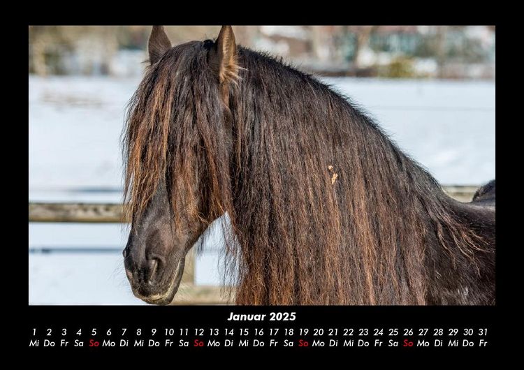 Produktbild: Die Welt der Pferde 2025 Fotokalender DIN A3