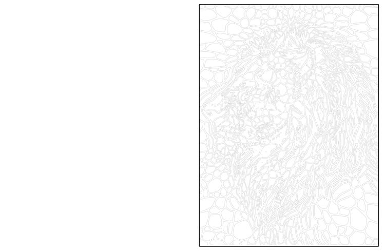 Produktbild: Ausmalen und Entdecken