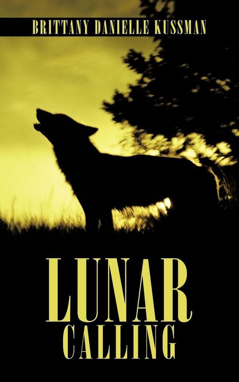 Produktbild: Lunar Calling