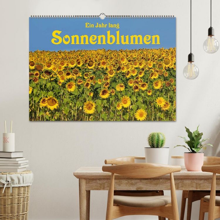 Produktbild: Ein Jahr lang Sonnenblumen (Wandkalender 2026 DIN A2 quer), CALVENDO Monatskalender