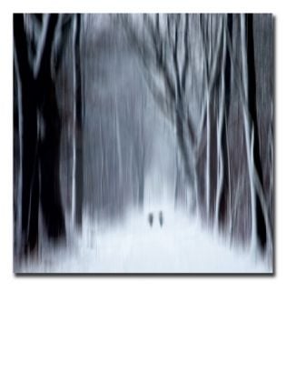 Produktbild: CALVENDO Puzzle Ein Motiv aus dem Kalender Transzendent | 1000 Teile Lege-Gr&ouml;&szlig;e 64x48cm Foto-Puzzle f&uuml;r gl&uuml;ckliche Stunden