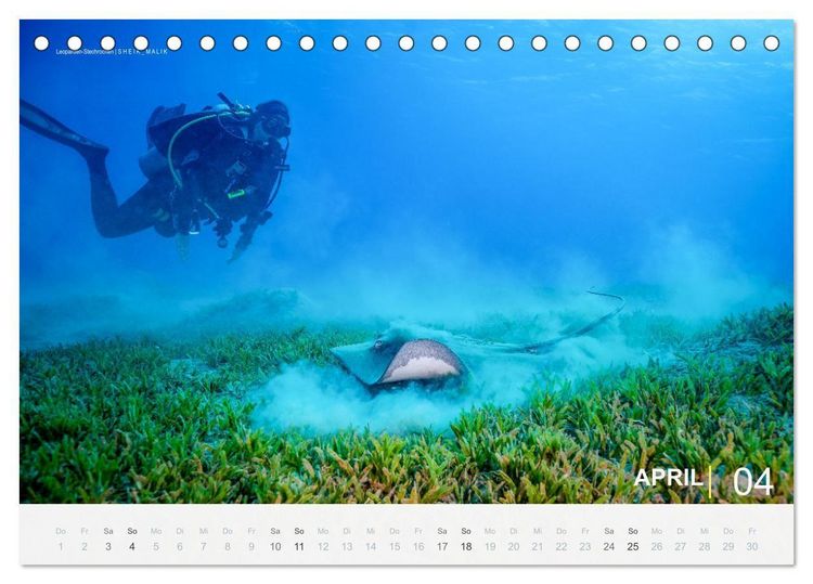 Produktbild: Die sch&ouml;nsten Korallenriffe zum Tauchen in &Auml;gypten (Tischkalender 2027 DIN A5 quer), CALVENDO Monatskalender