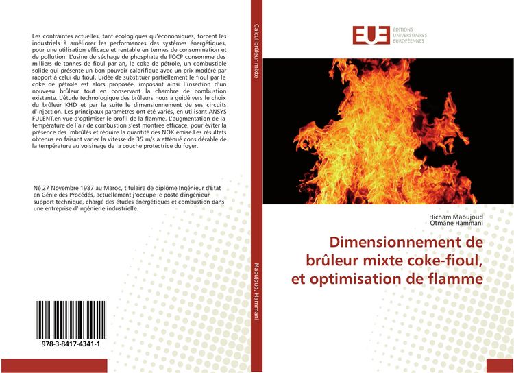 Produktbild: Dimensionnement de br&ucirc;leur mixte coke-fioul, et optimisation de flamme