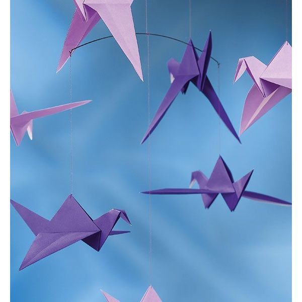 Produktbild: Origami - Die wunderbare Kreativbox. Mit Anleitungsbuch und Material