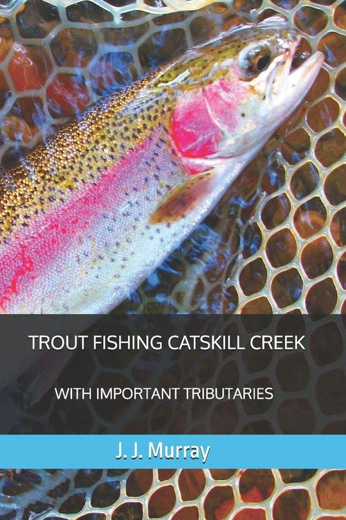 Produktbild: Trout Fishing Catskill Creek