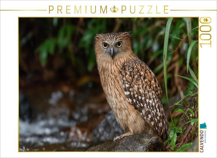 Produktbild: CALVENDO Puzzle Bindenfischuhu am Flussufer | 1000 Teile Lege-Gr&ouml;&szlig;e 64x48cm Foto-Puzzle f&uuml;r gl&uuml;ckliche Stunden