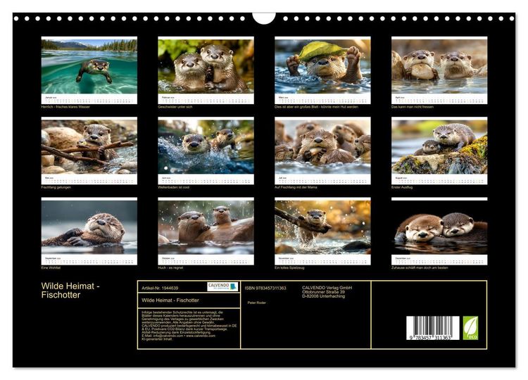 Produktbild: Wilde Heimat - Fischotter (Wandkalender 2026 DIN A3 quer), CALVENDO Monatskalender