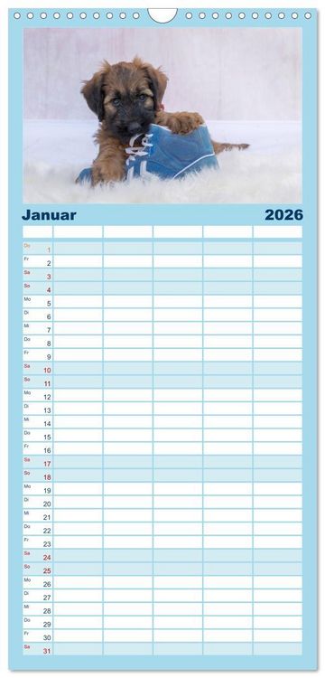 Produktbild: Familienplaner 2026 - Briardbabys in ihren ersten Wochen mit 5 Spalten (Wandkalender, 21 x 45 cm) CALVENDO