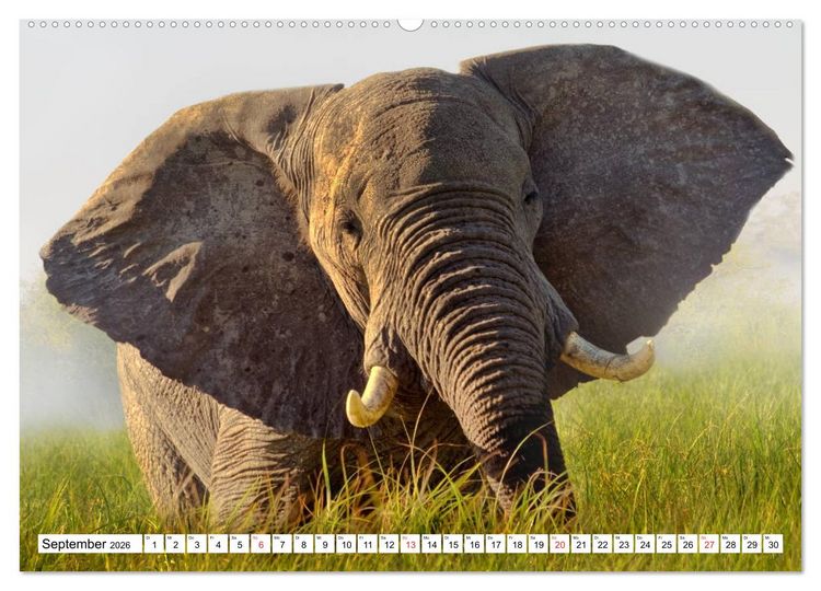 Produktbild: Namibia & Botswana (hochwertiger Premium Wandkalender 2026 DIN A2 quer), Kunstdruck in Hochglanz