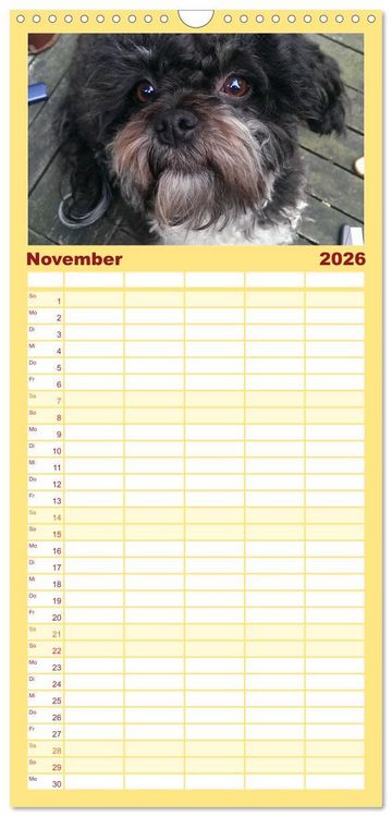 Produktbild: Familienplaner 2026 - Bolonka Zwetna mit 5 Spalten (Wandkalender, 21 x 45 cm) CALVENDO