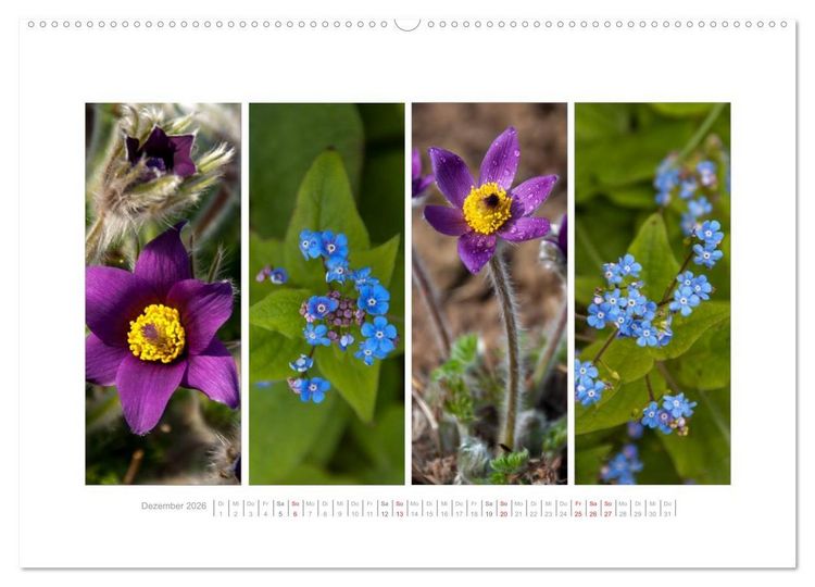 Produktbild: Gartenfreude (Wandkalender 2026 DIN A2 quer), CALVENDO Monatskalender