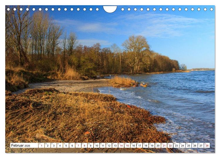 Produktbild: Naturparadies Zierow - Ostsee Idylle pur in der Wismarer Bucht (Wandkalender 2026 DIN A4 quer), CALVENDO Monatskalender