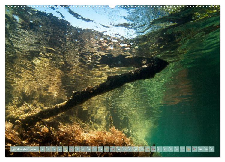 Produktbild: Raja Ampat - Impressionen (Wandkalender 2026 DIN A2 quer), CALVENDO Monatskalender