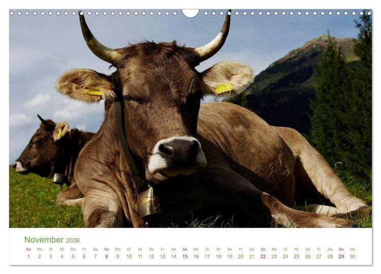 Produktbild: Bergwelt in &Ouml;sterreich (Wandkalender 2026 DIN A3 quer), CALVENDO Monatskalender
