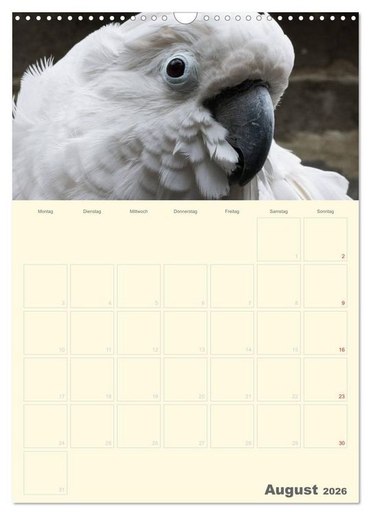 Produktbild: Kunterbunter Papageien-Planer (Wandkalender 2026 DIN A3 hoch), CALVENDO Monatskalender