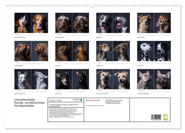 Produktbild: charakterstarke Hunde, wundersch&ouml;ne Hundeportraits (Wandkalender 2026 DIN A2 quer), CALVENDO Monatskalender