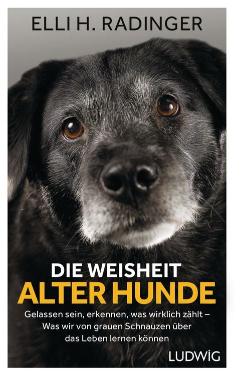 Produktbild: Die Weisheit alter Hunde