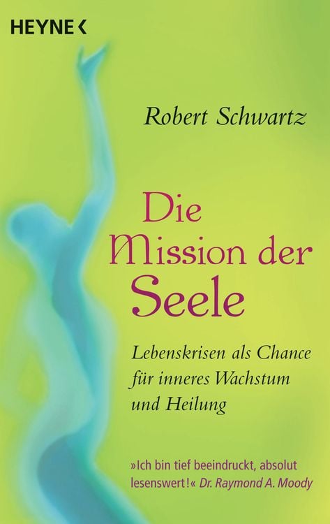 Produktbild: Die Mission der Seele