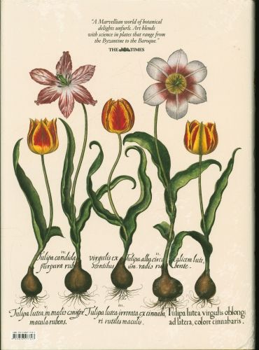 Produktbild: A Garden Eden. Masterpieces of Botanical Illustration